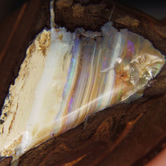 Big Colorful Queensland Boulder Opal Specimen 237 Grams  Litnon.com