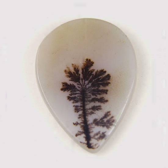 Rare and Fine Quality Natural Dendritic Agate 22 x 16 mm  Litnon.com