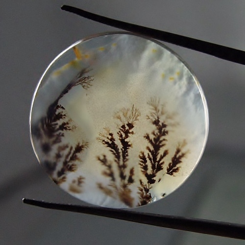  Rare Quality Scenic Dendritic Agate India 22 mm  Litnon.com