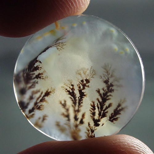  Rare Quality Scenic Dendritic Agate India 22 mm  Litnon.com