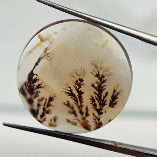  Rare Quality Scenic Dendritic Agate India 22 mm  Litnon.com