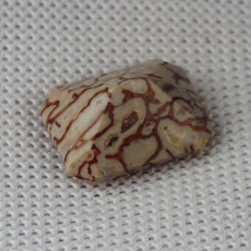 Unique Faceted Dinosaur Bone Fossil Montana 2.02 ct  Litnon.com