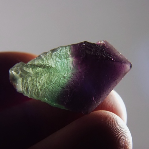 Special Specimen Gem Grade Bi-Color Fluorite Scepter  Litnon.com