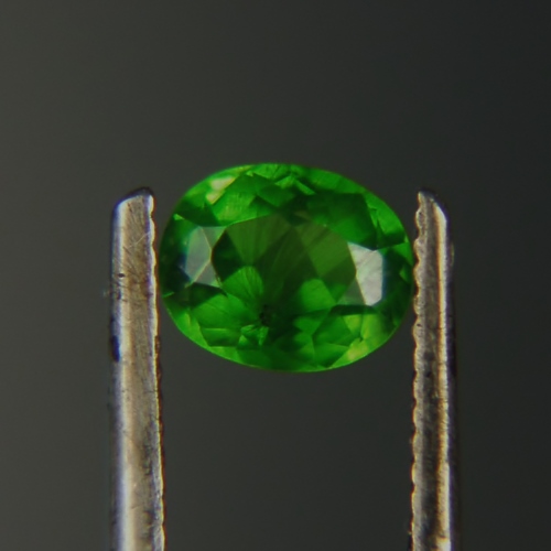 Rare Inclusions Chrome Green Russian Demantoid Garnet  Litnon.com