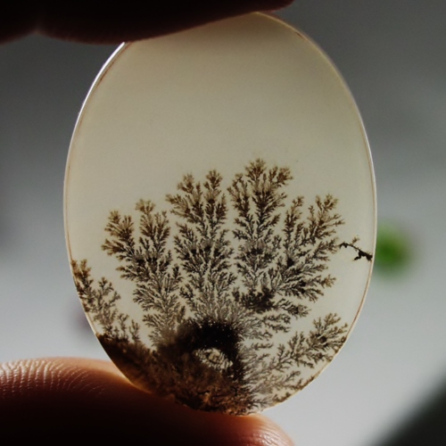   Big & Rare!  Fine Quality & Detail Dendritic Agate India  Litnon.com