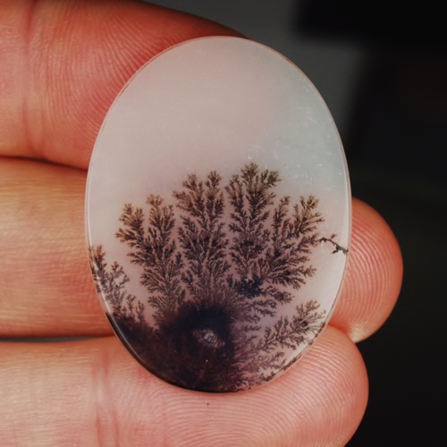   Big & Rare!  Fine Quality & Detail Dendritic Agate India  Litnon.com