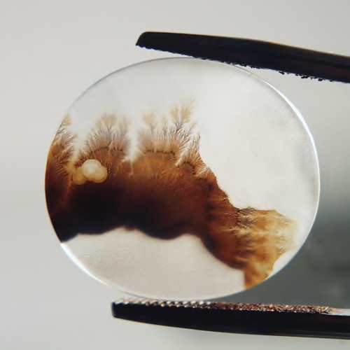  Rare Quality Scenic Dendritic Agate India 25 mm  Litnon.com