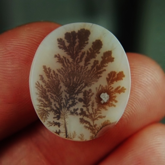  Rare Quality Scenic Dendritic Agate India  Litnon.com