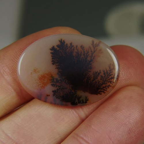  Rare and Fine Quality Natural Dendritic Agate India  Litnon.com