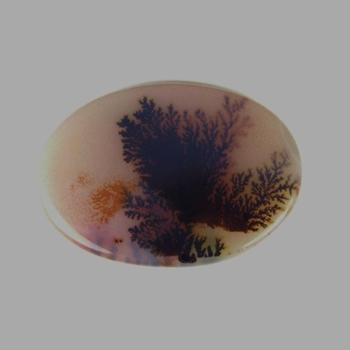  Rare and Fine Quality Natural Dendritic Agate India  Litnon.com