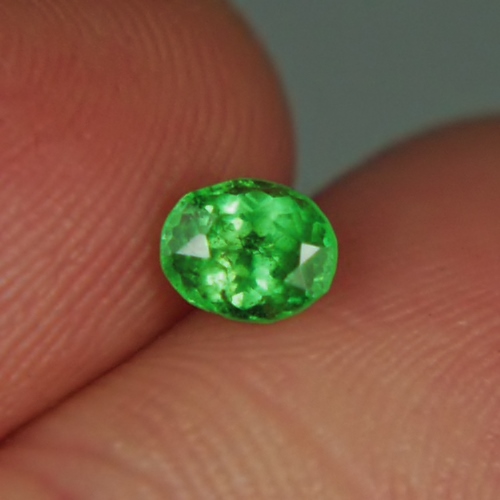 Bright Lime Green Included Tsavorite Green Garnet Kenya  Litnon.com