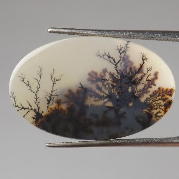 Fine Quality Scenic Dendritic Agate India  Litnon.com