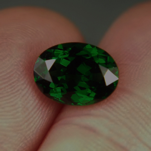 Intense Chrome Green! Natural Tsavorite Garnet Kenya 3.65 carats GL Litnon.com
