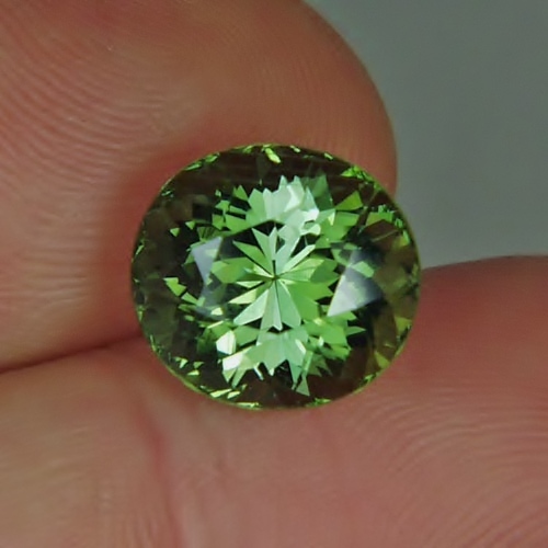 Big and Bright Natural Green Tourmaline Mozambique 6.96ct  Litnon.com