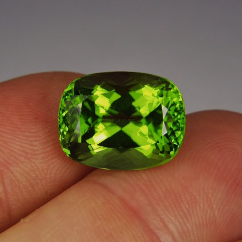 Superb Gem Fine Cut and Color Pakistan Peridot 12.09 ct  Litnon.com