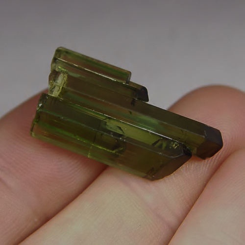 Gem Grade Collectors Tourmaline Crystal Specimen Afghanistan  Litnon.com