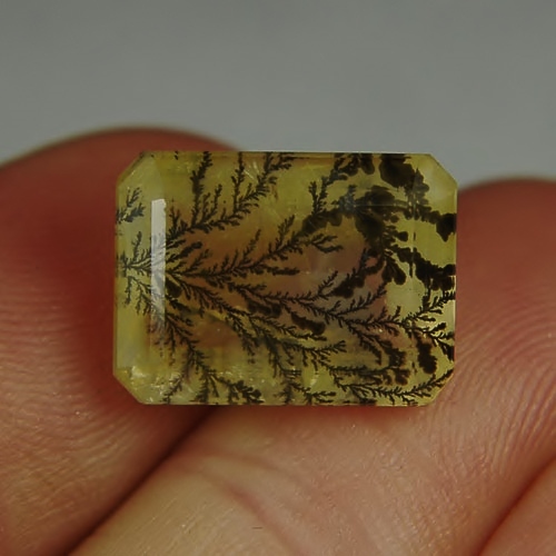 Collectors Quality Natural Dendritic Quartz Brazil 12.89 ct  Litnon.com