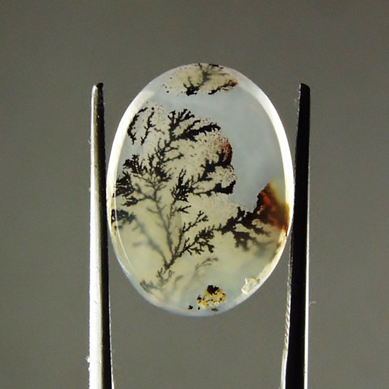   Rare and Fine Quality! Scenic Dendritic Agate!  Litnon.com