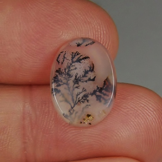   Rare and Fine Quality! Scenic Dendritic Agate!  Litnon.com