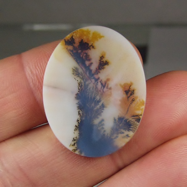 Big & Rare!  Fine Quality Scenic Dendritic Agate India Litnon.com
