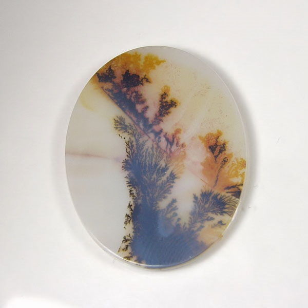 Big & Rare!  Fine Quality Scenic Dendritic Agate India Litnon.com