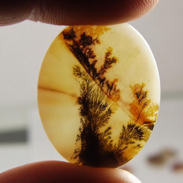 Big & Rare!  Fine Quality Scenic Dendritic Agate India Litnon.com