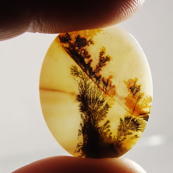 Big & Rare!  Fine Quality Scenic Dendritic Agate India Litnon.com