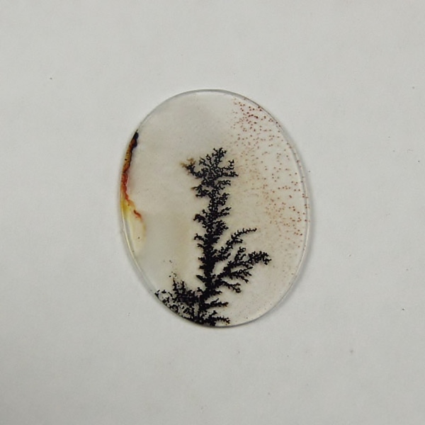   Rare and Fine Quality! Scenic Dendritic Agate!  Litnon.com