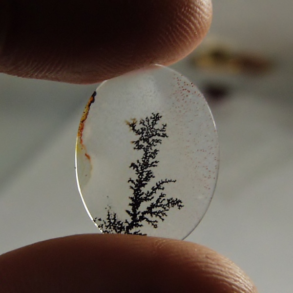   Rare and Fine Quality! Scenic Dendritic Agate!  Litnon.com