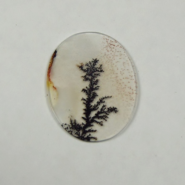   Rare and Fine Quality! Scenic Dendritic Agate!  Litnon.com