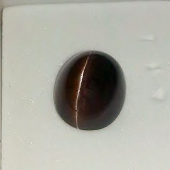 Strong Sharp Eye Cats Eye Scapolite Tanzania 6.27 ct  Litnon.com