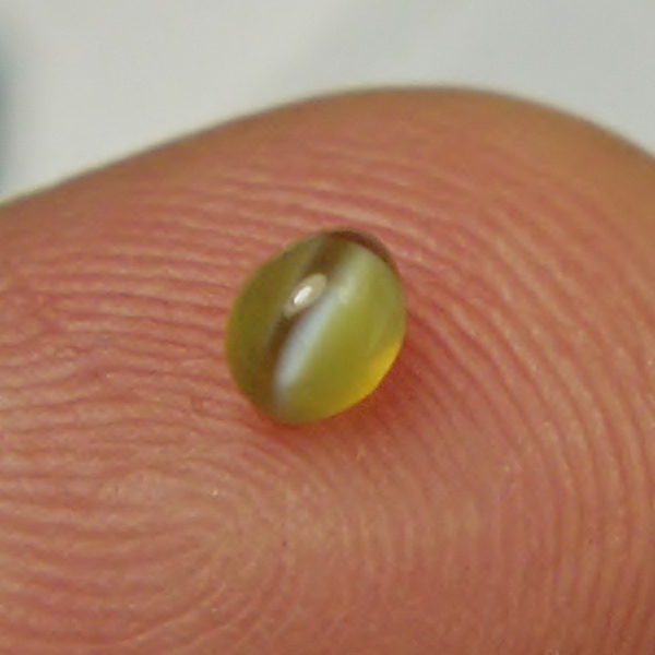 Tiny Treasure Cats Eye Chrysoberyl Brazil 0.50ct  Litnon.com