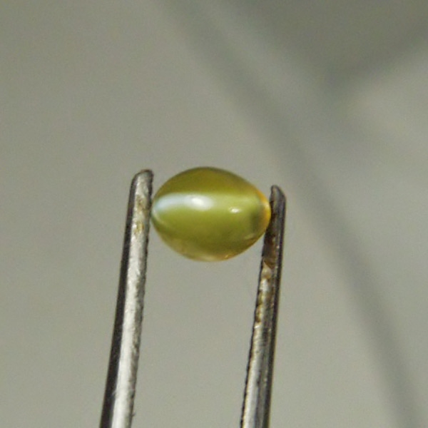 Tiny Treasure Cats Eye Chrysoberyl Brazil 0.50ct  Litnon.com