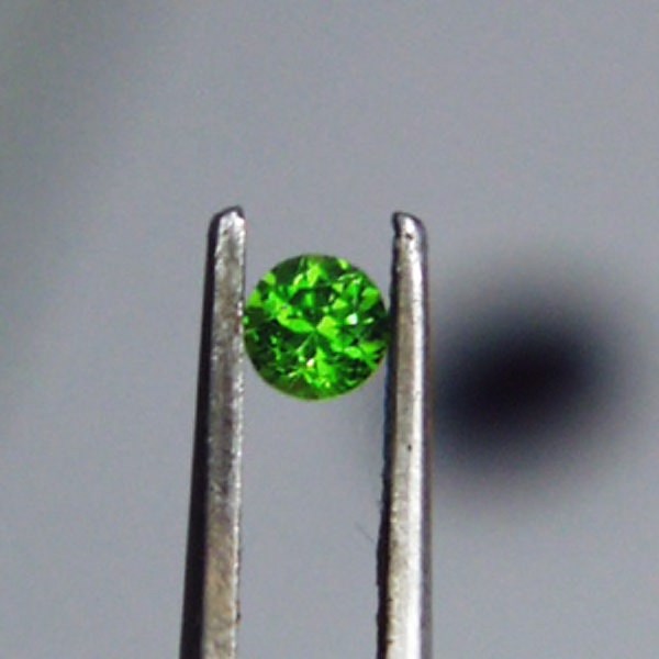 Tiny Treasure Brilliant Chrome Green Russian Demantoid Garnet  Litnon.com