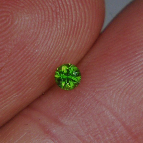 Tiny Treasure Brilliant Chrome Green Russian Demantoid Garnet  Litnon.com