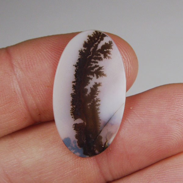 All Natural! Fine Quality Dendritic Agate India  Litnon.com