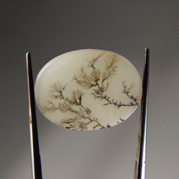  All Natural! Fine Quality Dendritic Agate India 21 x 15 mm  Litnon.com