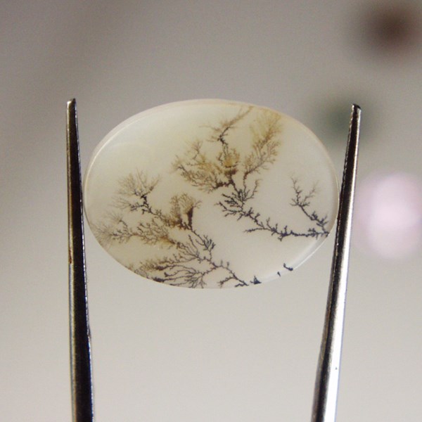  All Natural! Fine Quality Dendritic Agate India 21 x 15 mm  Litnon.com