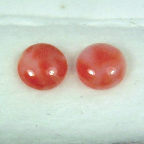 Natural Pink Coral Round Cabochon Pair Hawaii 10mm  Litnon.com