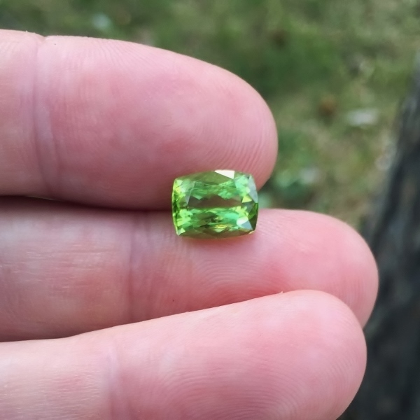 Bright and Pretty Natural Pakistan Peridot 3.44 ct GL Litnon.com