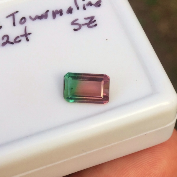 Collectors Bi-Color Tourmaline Brazil 1.42 ct GL Litnon.com