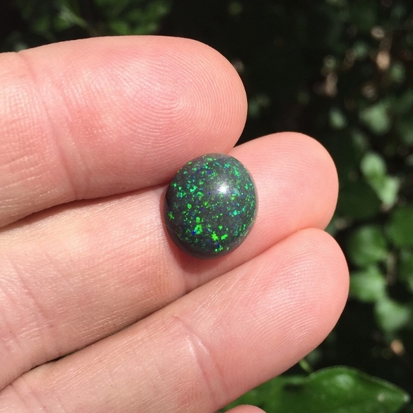 Natural Untreated Black Matrix Opal Honduras 5.10 ct  Litnon.com