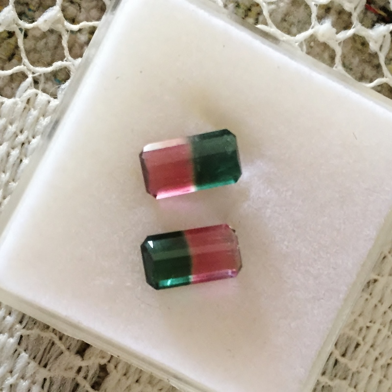Matched Pair! Bi-Color Watermelon Tourmaline Brazil 3.25 ct. tw.  Litnon.com