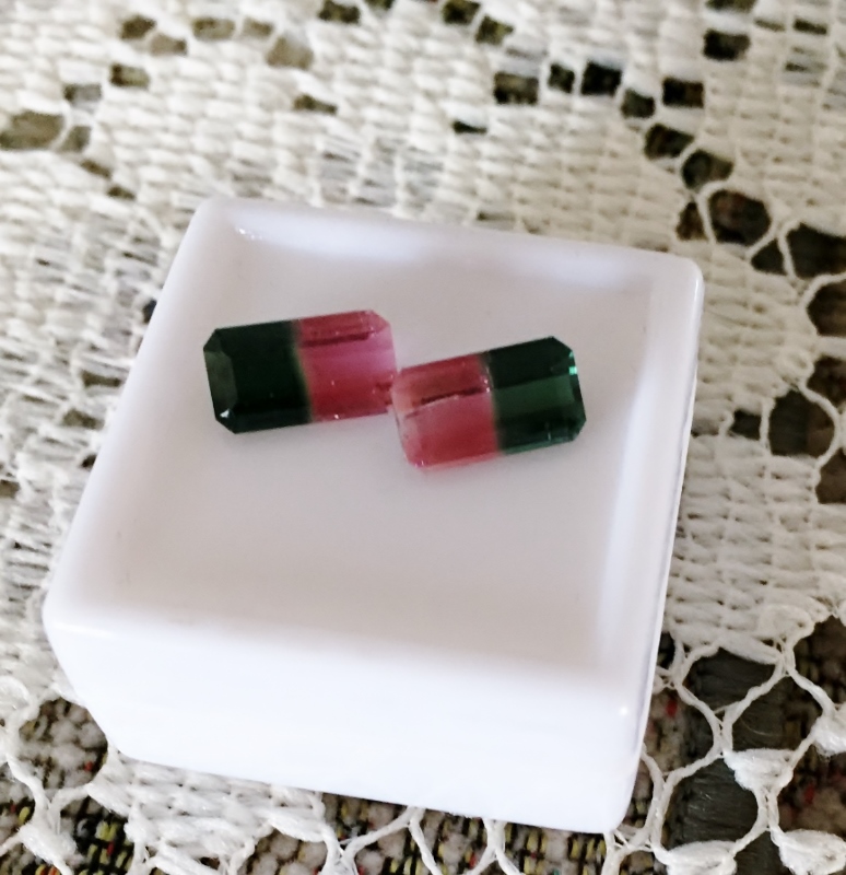 Matched Pair! Bi-Color Watermelon Tourmaline Brazil 3.25 ct. tw.  Litnon.com