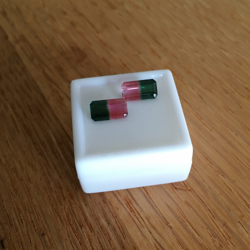 Matched Pair! Bi-Color Watermelon Tourmaline Brazil 3.25 ct. tw.  Litnon.com