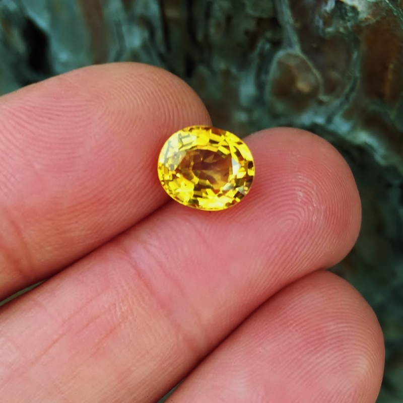 Fine Color! Rich Golden Yellow Sapphire Sri Lanka 3.52 ct  Litnon.com