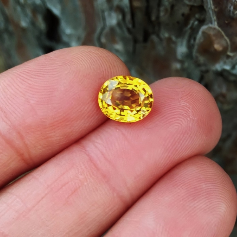 Fine Color! Rich Golden Yellow Sapphire Sri Lanka 3.52 ct  Litnon.com