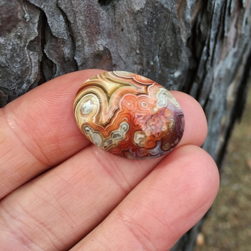 Rare Quality! Old Stock Crazy Lace Agate Mexico Litnon.com