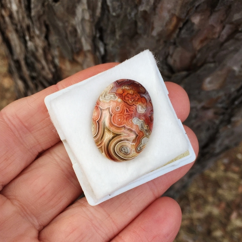 Rare Quality! Old Stock Crazy Lace Agate Mexico GLI Litnon.com