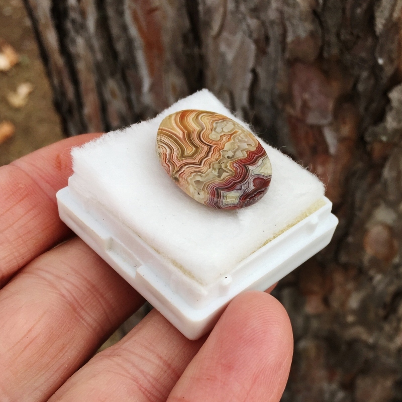 Rare Quality! Old Stock Crazy Lace Agate Mexico GLI Litnon.com